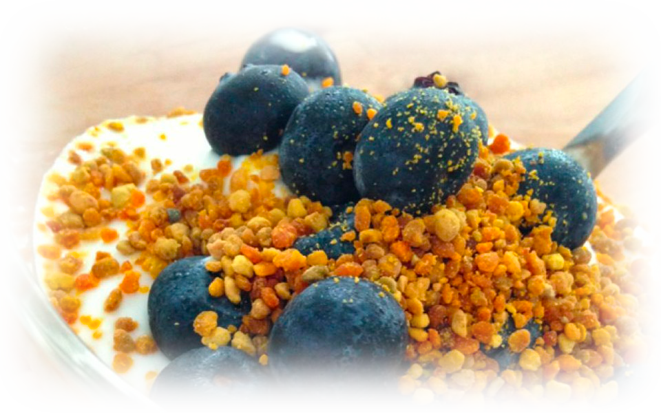 Los-Ulmos-productos-Polen